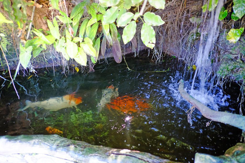 West Gorordo Hotel 宿务 外观 照片