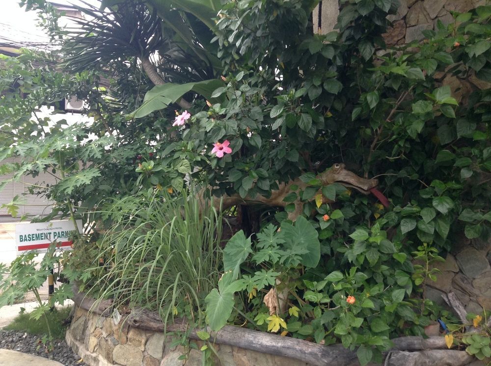 West Gorordo Hotel 宿务 外观 照片